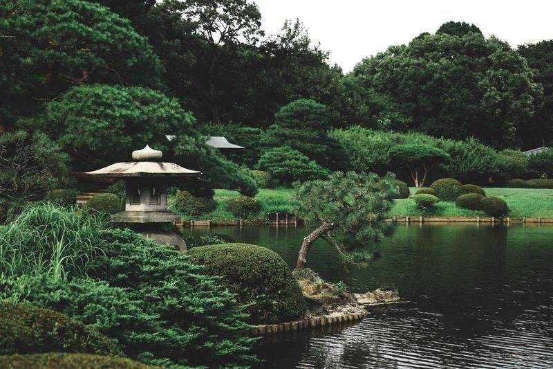 Weekly Maintenance Plan for Shared Outdoor Space