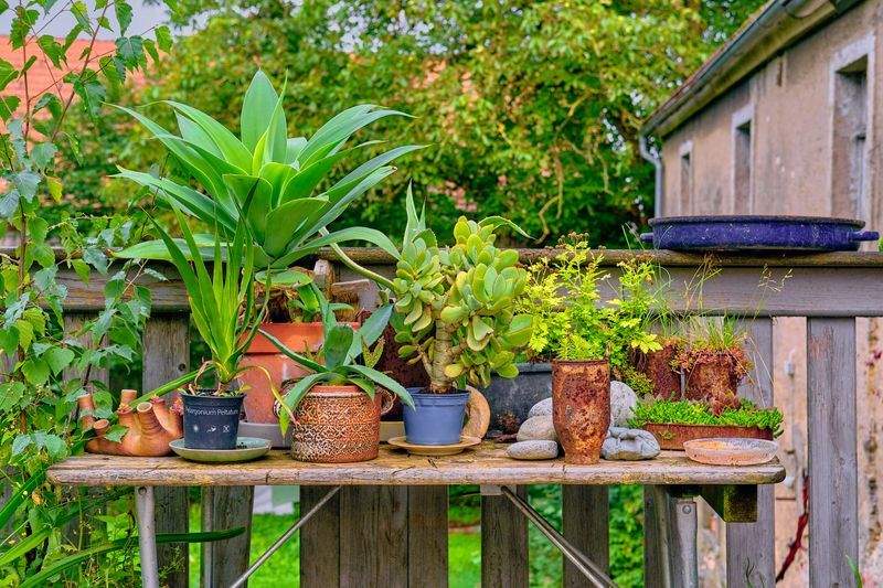 Seasonal planting and flower bed design