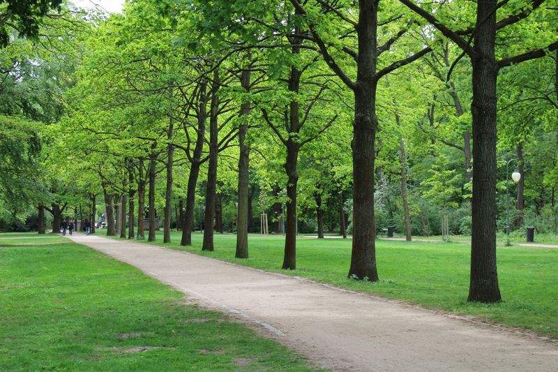 Spring and fall cleanups